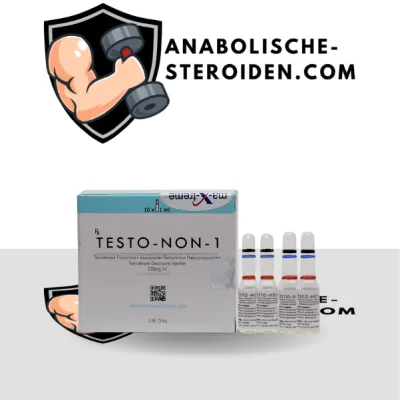 Testo-Non-1